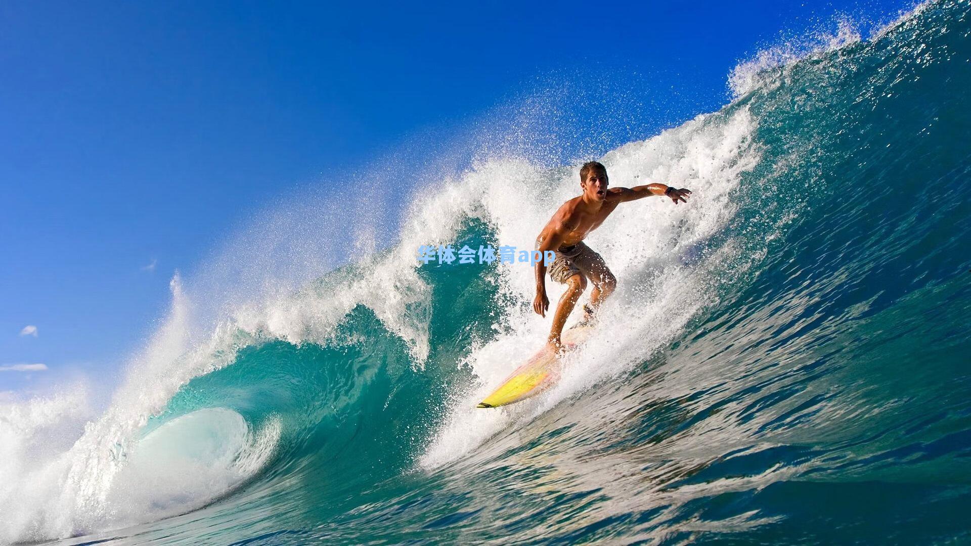 纽卡斯尔欧冠征程再遭打击 吉马良斯不幸乌龙成赛事第十六位失意人